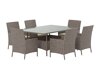 Tafel en stoelen set Dallas 5243