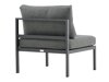 Fauteuil voor buiten Camorlo 100 (Grijs + Zwart)