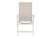 Komplet mize in stolov Dallas 5268