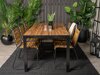 Komplet mize in stolov Dallas 5269
