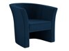 Fauteuil Meriden 100 (Kronos 09)