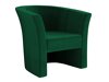 Fauteuil Meriden 100 (Kronos 19)