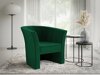 Fauteuil Meriden 100 (Kronos 19)