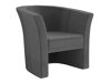 Fauteuil Meriden 100 (Kronos 22)