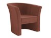 Fauteuil Meriden 100 (Kronos 29)