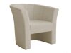 Fauteuil Meriden 100 (Lambi 06)