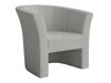 Fauteuil Meriden 100 (Lambi 11)