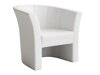 Fauteuil Meriden 100 (Soft 017)