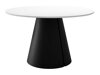 Tafel Oswego 165 (Wit)