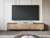 TV-meubel Levtive 101 (Matera grijs + Kastanje)