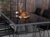 Tafel en stoelen set Dallas 5291