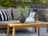 Buiten meubilair set Dallas 661 (Licht beige + Acacia)