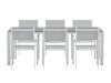 Table and chairs set Dallas 5301