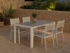 Tafel en stoelen set Dallas 5303
