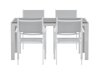 Tafel en stoelen set Dallas 5303