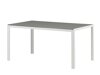 Tafel en stoelen set Dallas 5303