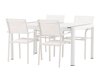 Tafel en stoelen set Dallas 5318 (Wit + Teak)