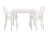 Tafel en stoelen set Dallas 5318 (Wit + Teak)