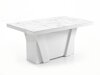 Tafel Hoboken 101 (Wit marmer + Glanzend wit)
