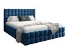 Bed Socor (Fresh 11)