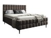 Bed Socor I (Fresh 04)