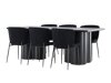 Eetkamerset Dallas 5343