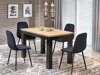Tafel Houston 2165 (Artisan eiken + Zwart)