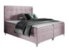 Boxspring Porta (Fresh 9)