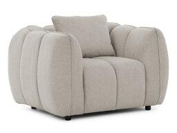 Fauteuil Rocklin 195 (Aragon 20)
