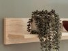 Wandplank Nolveni 100