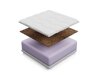 Matras Venusta