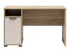 Bureau Deldora 104