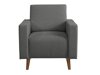 Fauteuil Delbene 131 (Verita 88 + Donkere san remo eik)
