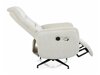 Relaxfauteuil Detroit 1031 (Raven 22)
