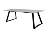 Tafel Dallas 5355 (Grijs + Zwart)