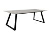 Tafel Dallas 5355 (Grijs + Zwart)