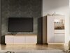 TV-meubel Revtive 105