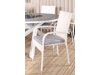 Tisch und Stühle Dallas 2390 (Weiß + Grau)