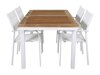 Asztal és szék garnitúra Dallas 2365