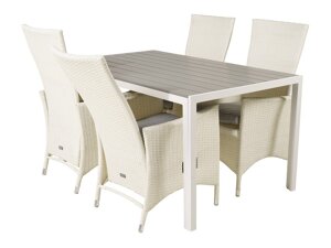 Conjunto de mesa e cadeiras Dallas 2255 (Branco + Cinzento)
