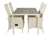 Tisch und Stühle Dallas 2255 (Weiß + Grau)