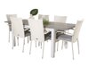 Conjunto de mesa e cadeiras Dallas 2258 (Branco + Cinzento)