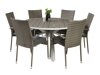 Tisch und Stühle Dallas 2390 (Grau + Dunkelgrau)
