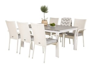 Tisch und Stühle Dallas 2406 (Weiß + Grau)