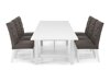 Conjunto de comedor Scandinavian Choice 669 (Gris)