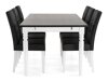 Маса и столове за трапезария Scandinavian Choice 652 (Черен + Бял)