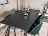 Маса и столове за трапезария Dallas 1609 (Зелен + Черен)