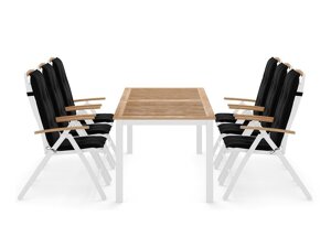 Conjunto de mesa e cadeiras deNoord 211