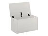Кутия за съхранение Denton A111 (Бял)