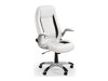 Biroja krēsls Houston 569 (Balts + Melns)